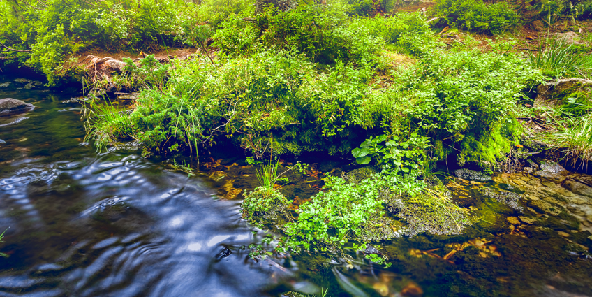 ÇED – Çevresel Etki Değerlendirmesi